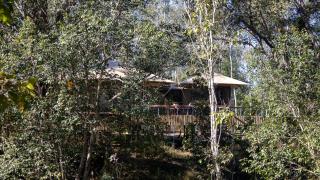 Saja and Sal The Tents - 0