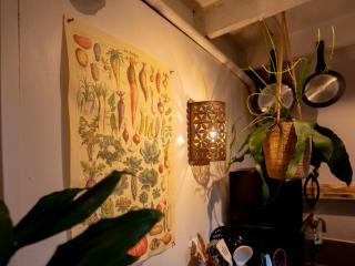 Boshuisje Rekem - Tanuki - 1