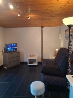 Rez de chalet plein sud état neuf avec vue exceptionnelle - 3