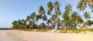 Quiet beachfront hideaway - Mafìa Island - 2355 - 1