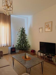 Cottage - Bakuriani - 8