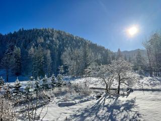 Rezydencja OWCA NA SZLAKU - Zakopane - 1