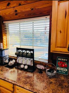 Pond Front Cabin with Hot tub, fire pit and star - 6