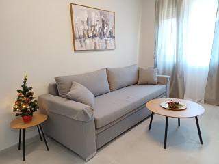 silver apartment ioannina - 4
