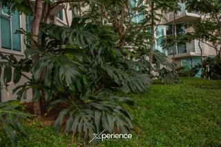 Grotto at 28, City Views and Wonderland Vibes! - 3