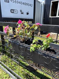 Paraiso Patagonico - 6