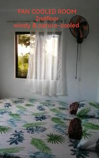 Uncle Bob & Tere Beach House -  - 5