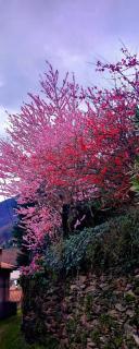 La casa della Cindy - 3