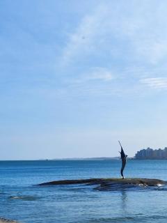 Apartamento de frente ao mar, Praia do Morro - 1