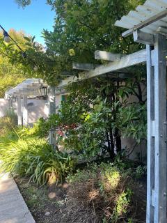 Cabañas Los 5 Sauces - 8