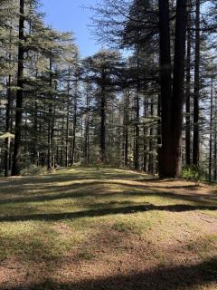 Mistymountaincottage - 4