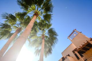 Los Collados con Jardín y Piscina By Aloha Palma - 3