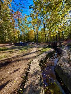 BELGRADE Forest Gate -  - 7