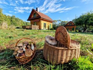 Górskie Siedlisko - Chata Rycerska - 2