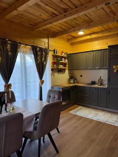 Luxury house Nena Fruška gora - kuća za odmor - 8