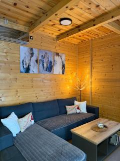 Luxury house Nena Fruška gora - kuća za odmor - 7