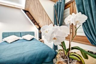 Domki pod Grapą TWIN & JAKUZZI DELUXE & Willa pod Grapą - 1