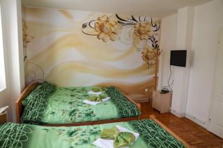 RentiGo Apartman Rastko Nova Varos near Zlatar with Terrace and Wi-Fi for 5 Guests - 4
