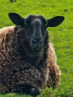 The Hideaway with hot tub - 3