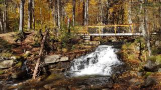 24-Chalet à louer à Stoneham - 5