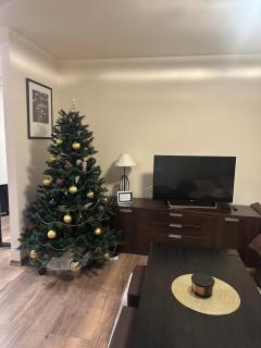 Trumpalaike buto nuoma - 8