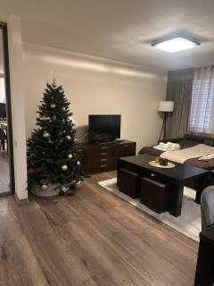 Trumpalaike buto nuoma - 7