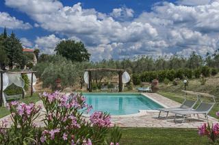 Podere Costantino - Terricciola - 8