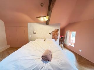 Le Vigne Wifi Metz Centre Ville - 6