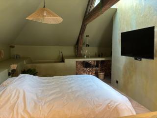 La gaudrée Wifi Metz - 2