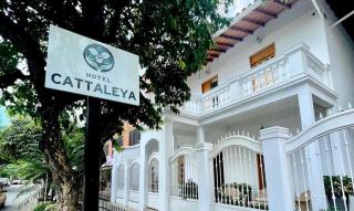 Hotel Cattaleya - 3
