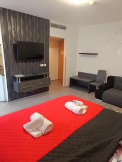 Bryan Casa Apartments - 9