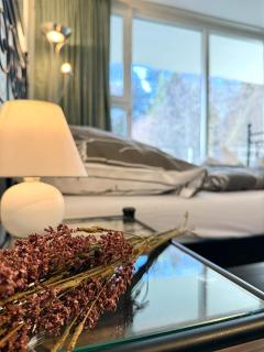 Cozy Studio Bayerwald Apartment am Waldrand NETFLIX POOL SAUNA - ALPENBLICK - 7