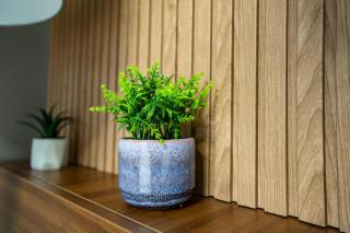 APL Appartment Ivory Pipera - 1