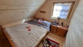 Cabin on Kobilica - 8