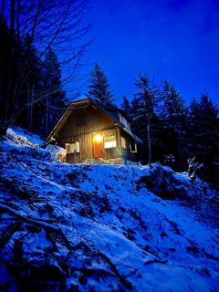 Cabin on Kobilica - 9