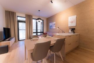 Arctic Echo D19 Ski-in Ski-out by Aavalevi - 3