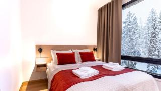 Arctic Echo D19 Ski-in Ski-out by Aavalevi - 9