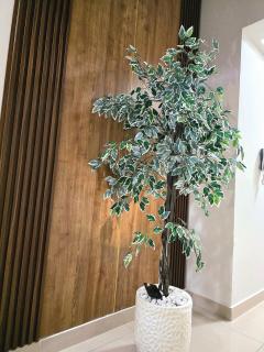 Opera Room #6 Comfort & Luxury - Ghubrah - 9