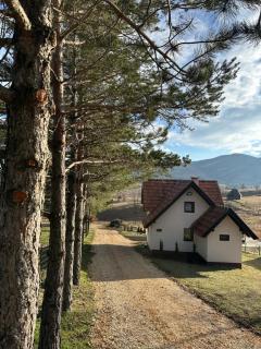 Vila Golden Queen Zlatibor - 5