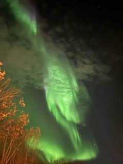 Whirl Cabin, Saltstraumen Maelstrom Reatreat Bodø - Lii - 2