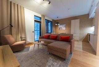 Arctic Echo D20 Ski-in Ski-out by Aavalevi - 0