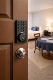 Downtown A2 Gem - Next to Hospitals, Stadium & Restaurants - Ann Arbor - 0