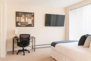 Downtown A2 Gem - Next to Hospitals, Stadium & Restaurants - 9