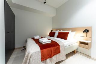 Arctic Echo D21 Ski-in Ski-out by Aavalevi - 3