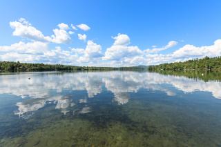 NEW! Tilted Pine - Lake Access Modern Home - 2