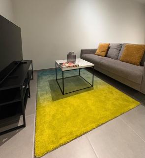 Appartement résidentiel à tour et taxi - 4