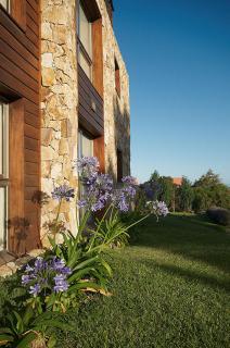 Viñas del Mar Apart & SPA Aparthotel - Las Gaviotas - 5