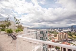 Jungle at 24, City Views and Wonderland Vibes! - 2