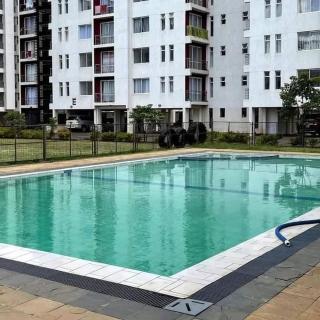 Racecourse garden's apartment - 8