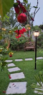 Azevim Suítes Alto de Pitinga - 5